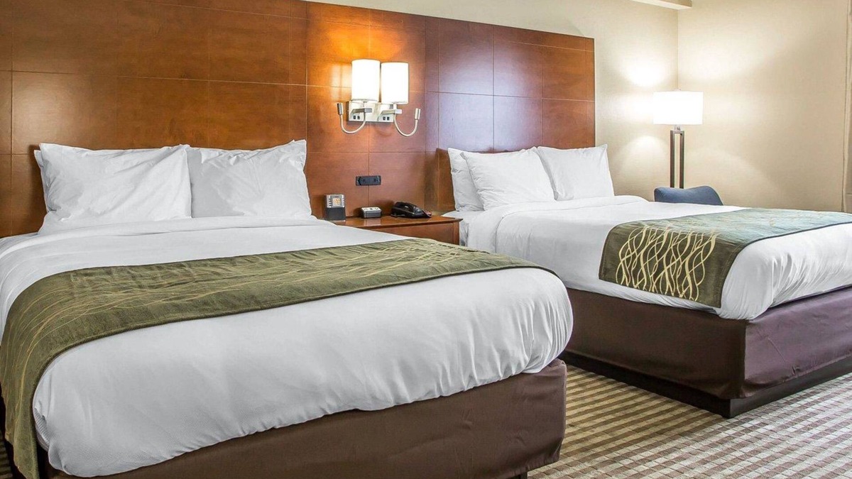 Hammond Hotel | Comfort Inn Hammond I-94