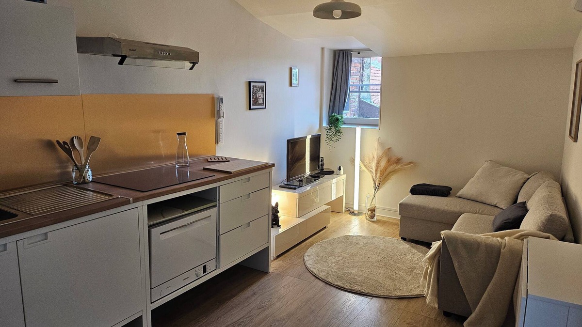 Meximieux Apartment | Comfortable, air-conditioned T2 apartment in the center of Meximieux