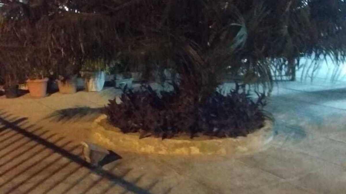 Campo Grande Apartment | Comfortable apartment near the Convention Center!