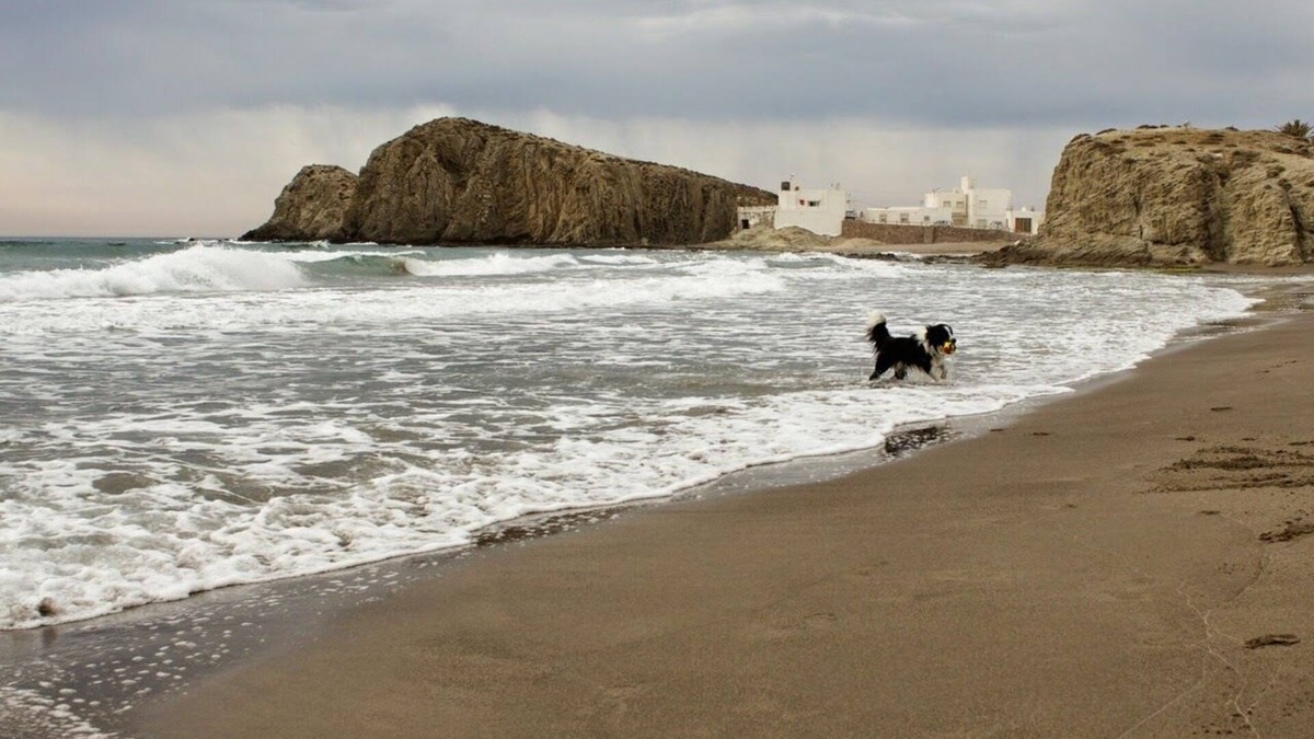 La Isleta del Moro Apartment | Comfortable apartment in La Isleta del Moro