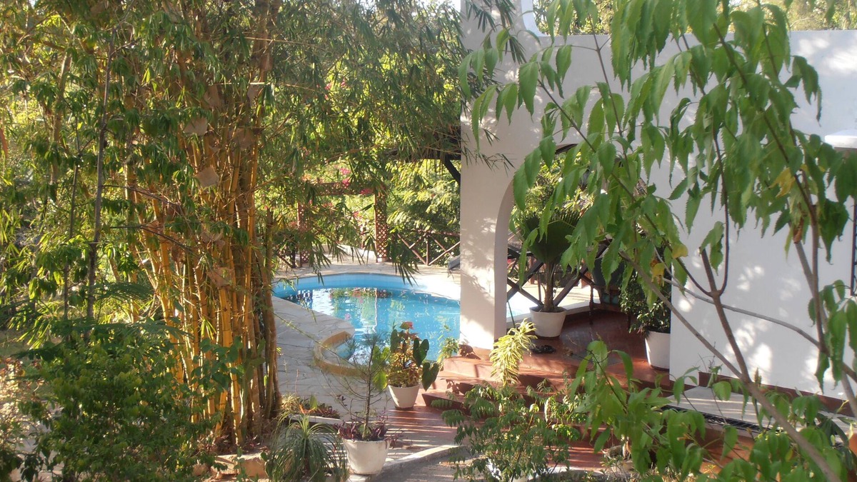 Kilifi House | Comfortable bungalow, private swimming pool,excellent cook,near the beach,canoing,boat trips,fishing, situated in a lush tropical garden,Eco-friendly environment,