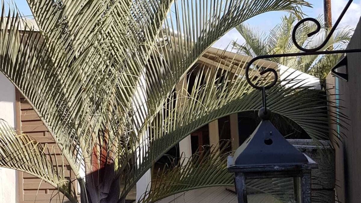 Dubedou House | Comfortable cottage with pool near the beach and Guadeloupe sites -