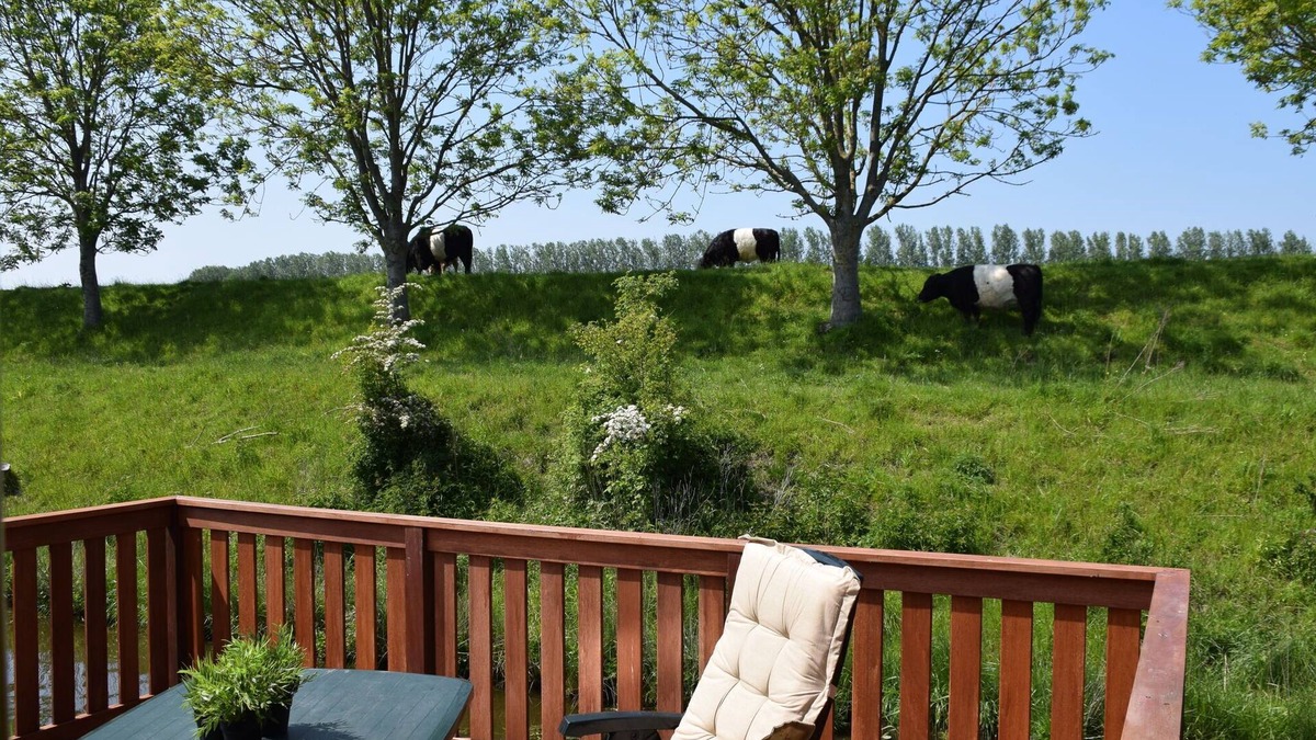 Schoondijke House | Comfortable holiday home in Schoondijke