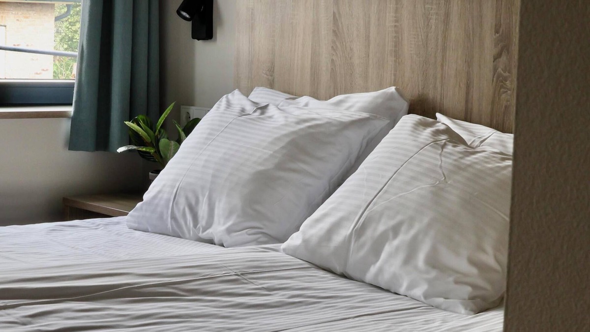 Appeltern Hotel | Comfortable hotel room next to Moeke Mooren, featuring modern amenities and a welcoming atmosphere for a relaxing stay.