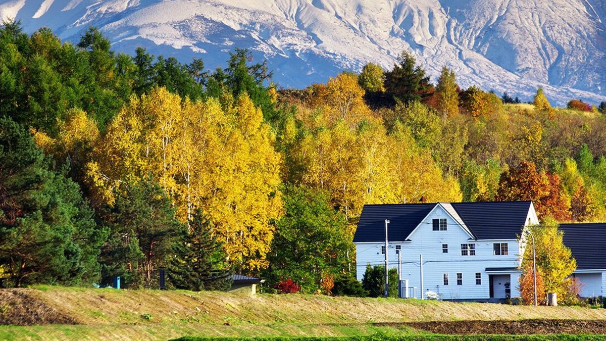 Asahikawa House | Comfortable just like your second home!