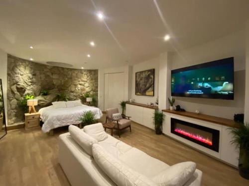 San Miguel de Allende Apartment | Comfortable loft and great location