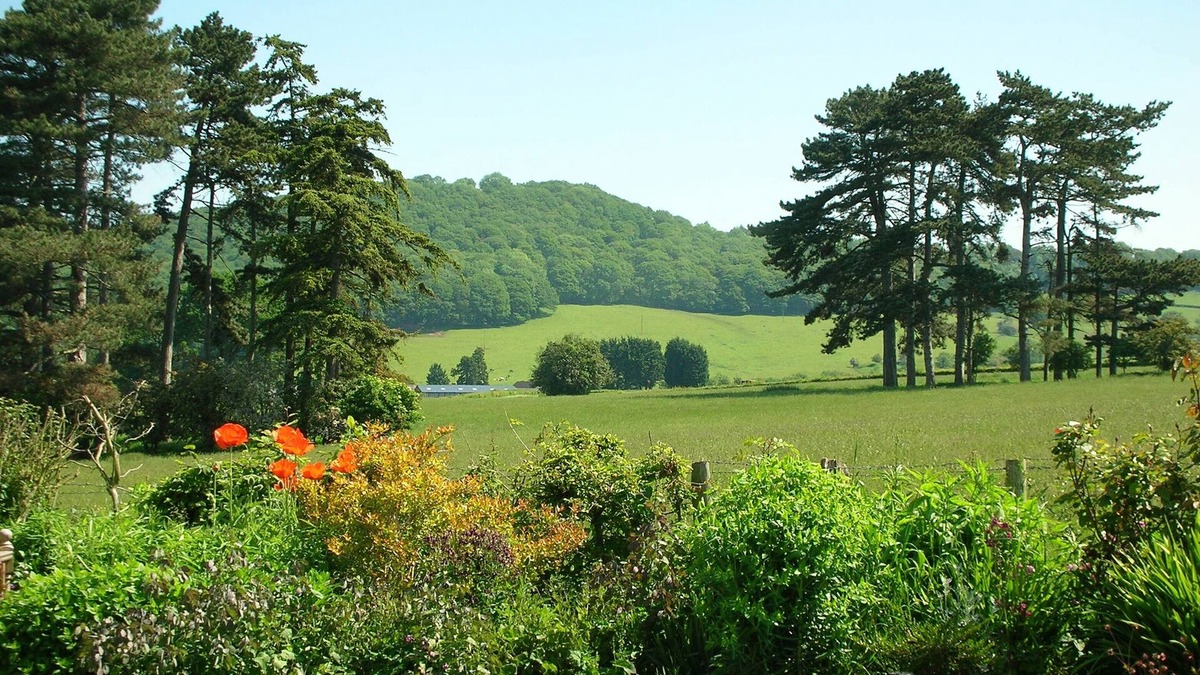 Hay on Wye Apartment | Comfortable, pet friendly accommodation a short walk from Hay-on-Wye.
