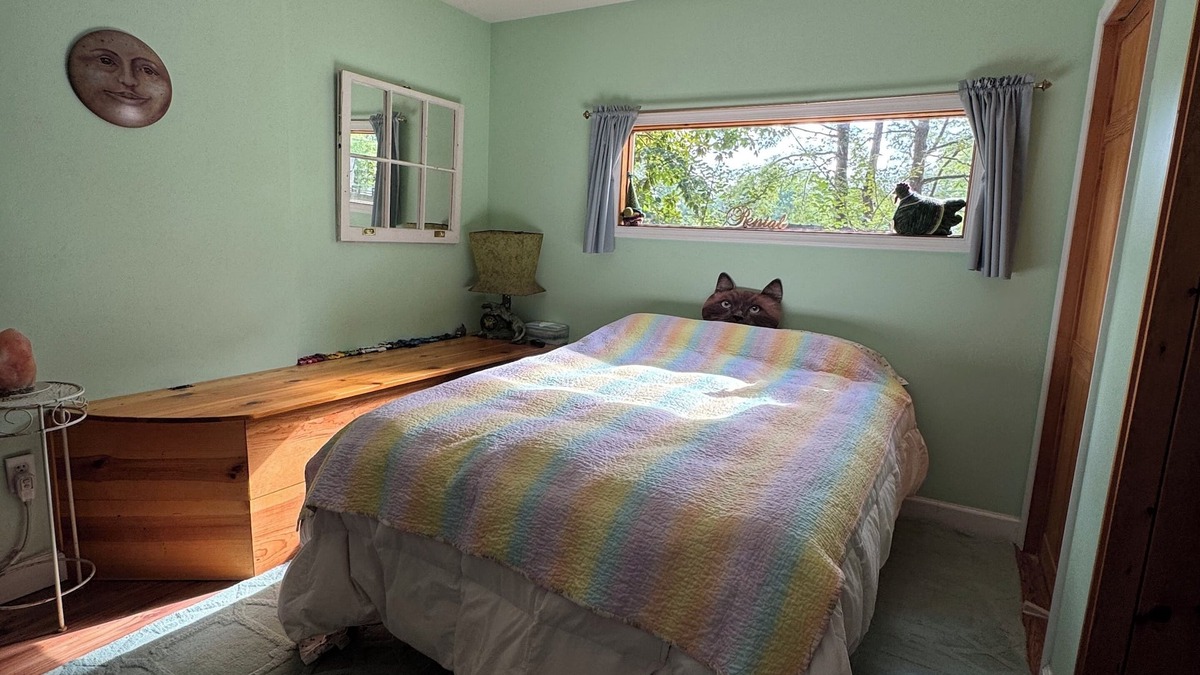Boyd Tavern House | Comfortable quiet room just outside of Charlottesville