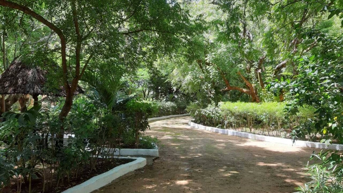 Kilifi Cottage | Comfortable Serene Tranquil Retreat