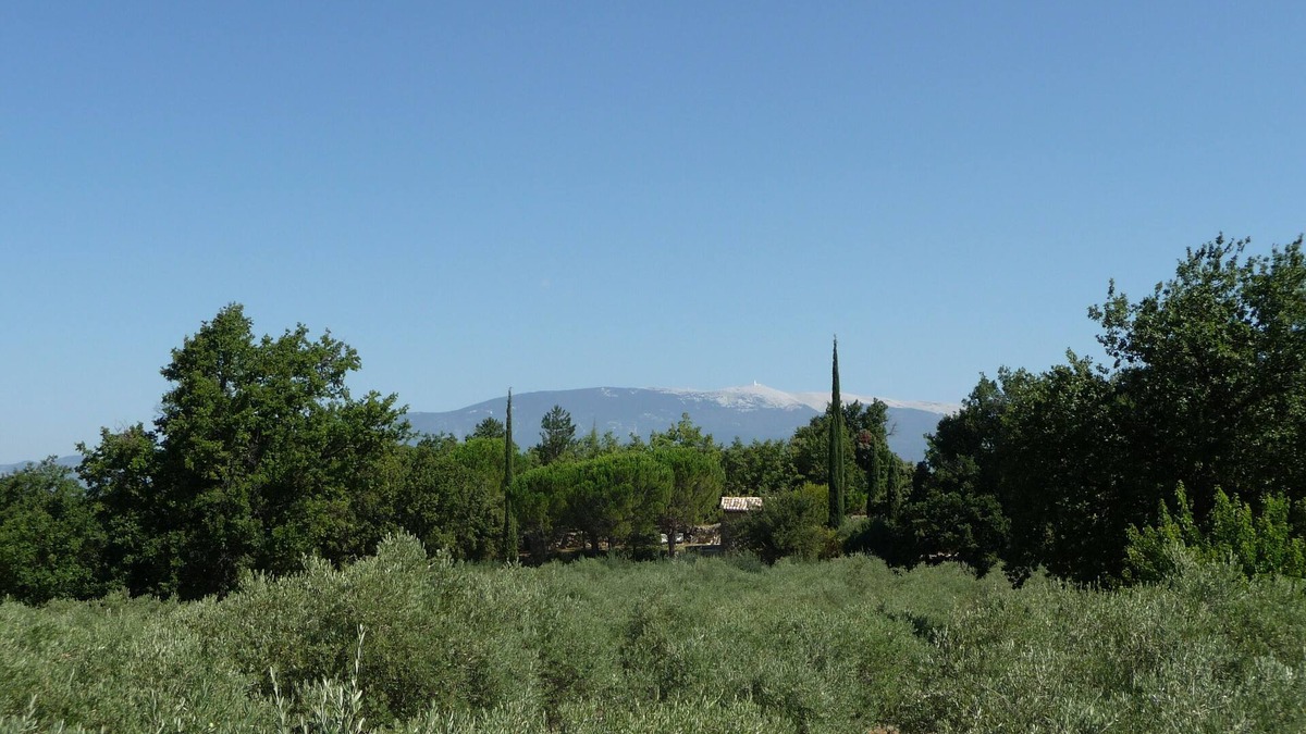 Mormoiron House | Comfortable small stone 18th Century cabin, private pool, exceptional site