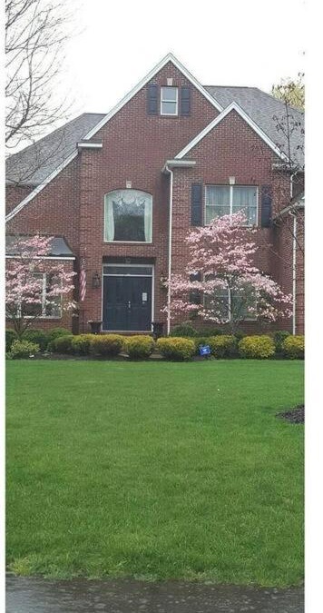 Jefferson Apartment | Comfortable, spacious, 1bdrm basement apartment, sleeps 4