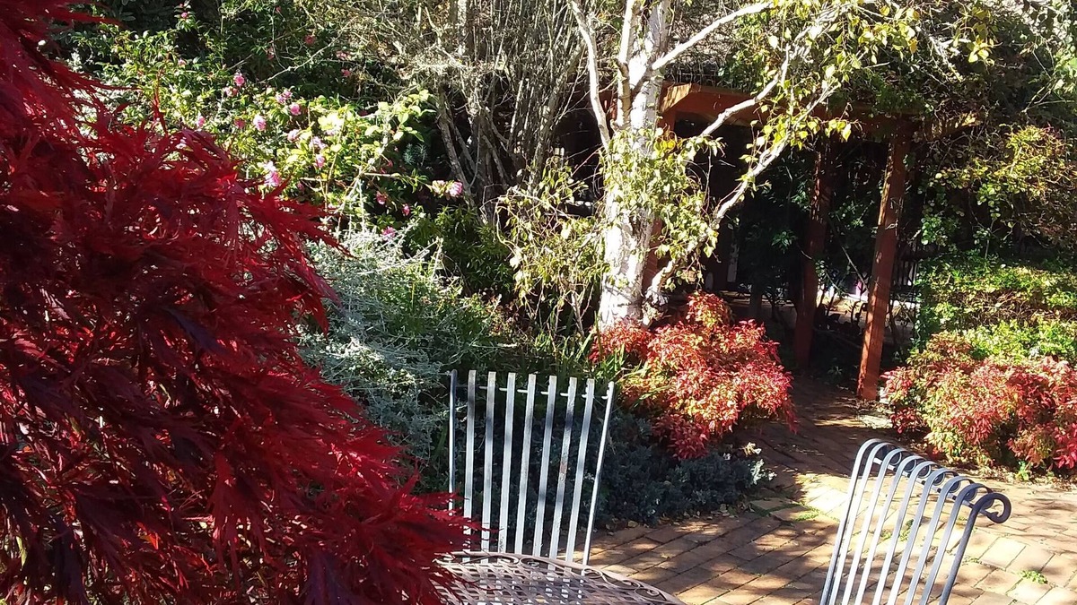 Woodend North Bed & Breakfast | Comfortable suite of rooms with its own private entrance.