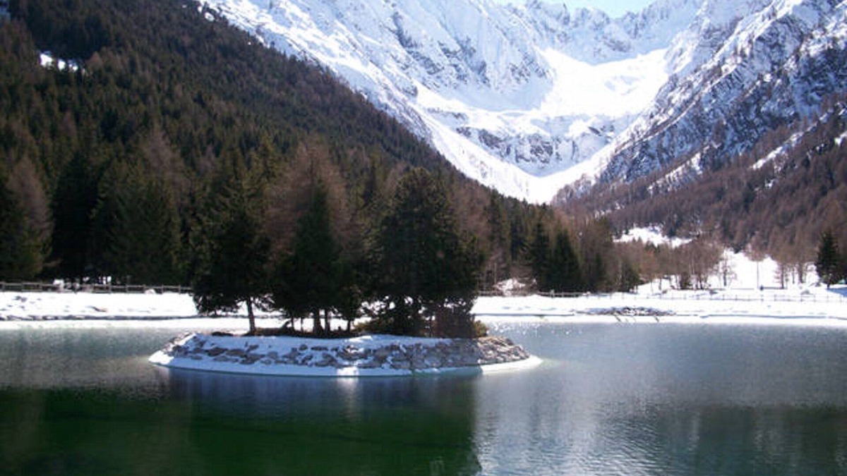 Temu Apartment | Comfortable two-room apartment. Temu Center; (Ponte di Legno) slopes at 200m