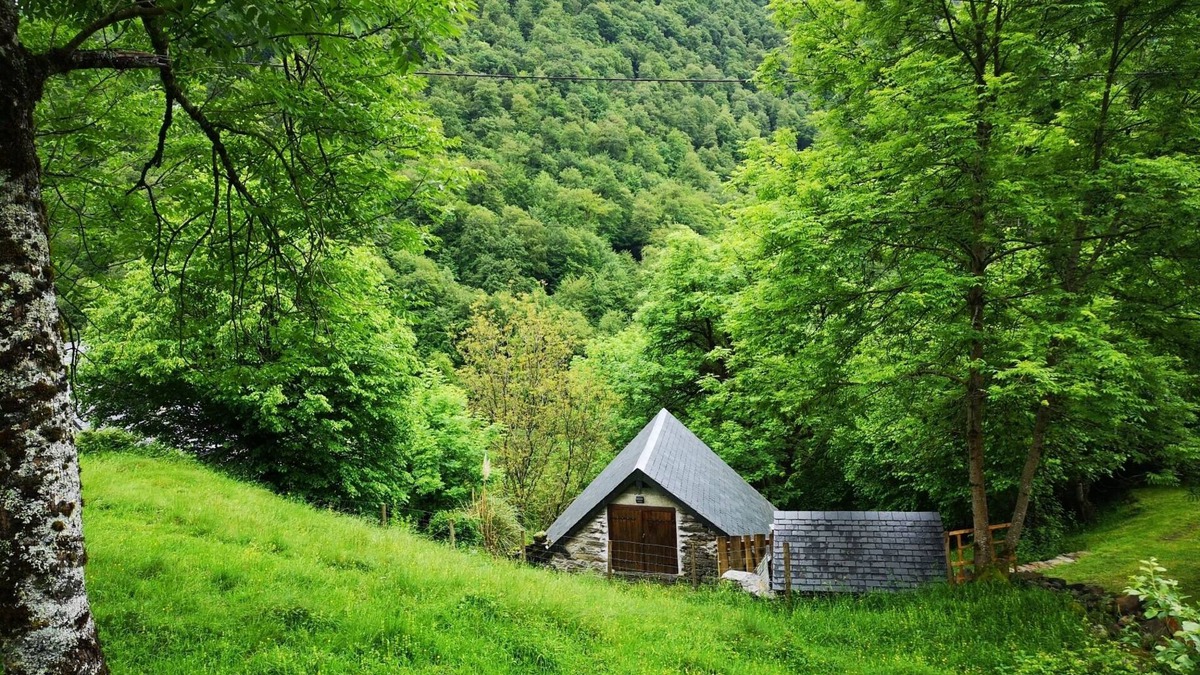 Melles Ski Chalet | Comfortable wooden chalet in the heart of nature