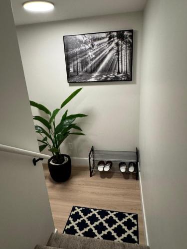 Moncton House | Comfy Apartment