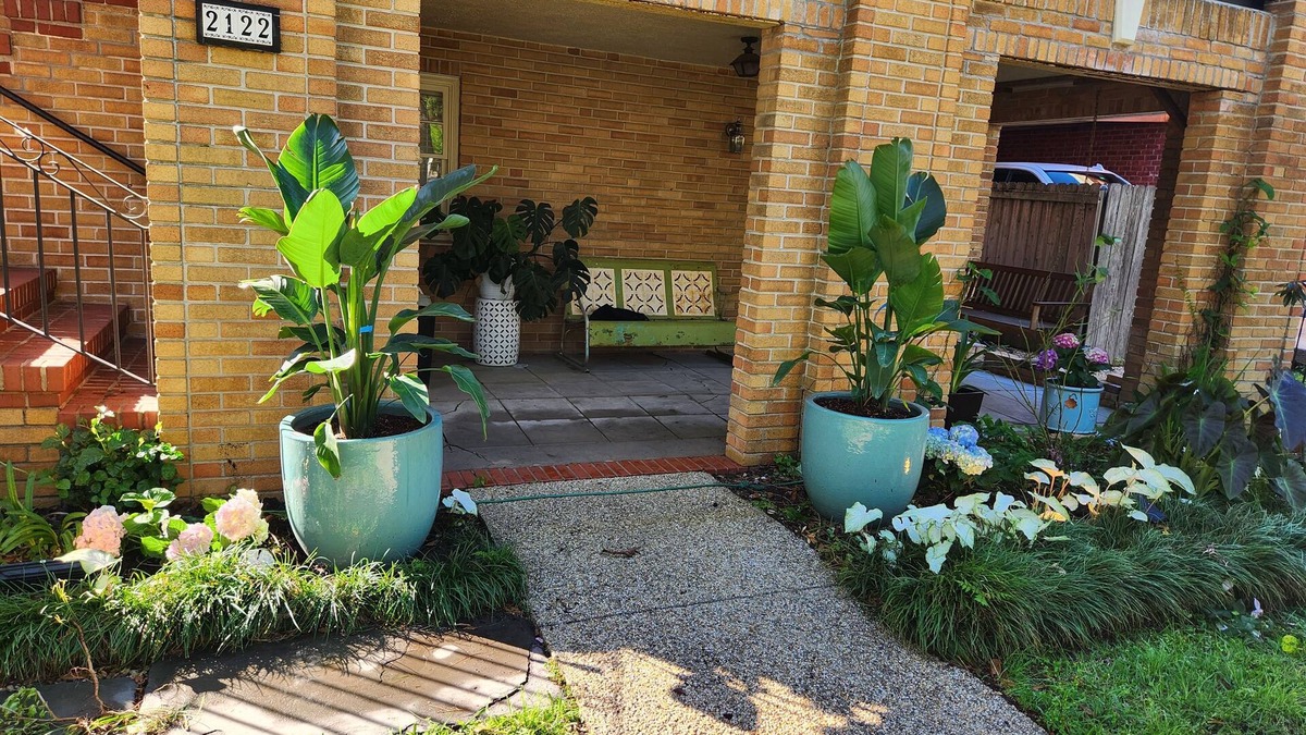 Central Carrollton Association House | Comfy on Carrollton Avenuen dog friendly on streetcar line!n
