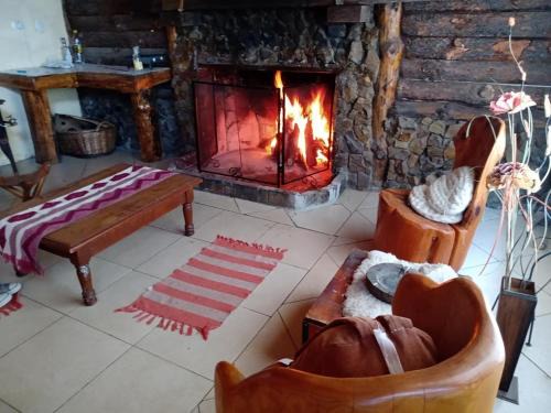 Cholila Apartment | Complejo Turistico PET Friendly Los Abuelos Montañas Serenas