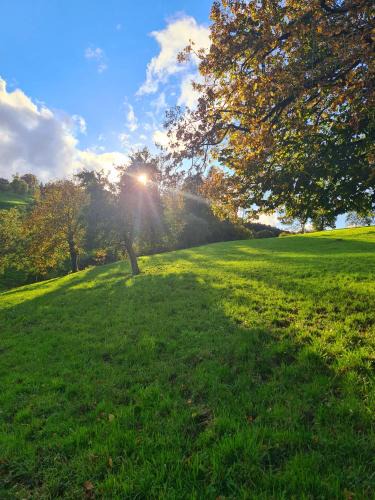 Kriens Other | Completely Open Barn-Nature Höllhof Adventure with panoramic view outdoor -near Lucerne