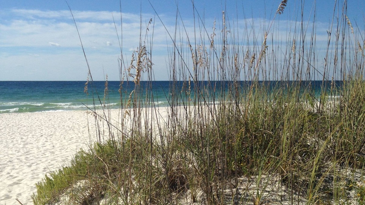 Orange Beach East Condo | Completely remodeled, fall specials, Non-smokers please. No children under 6
