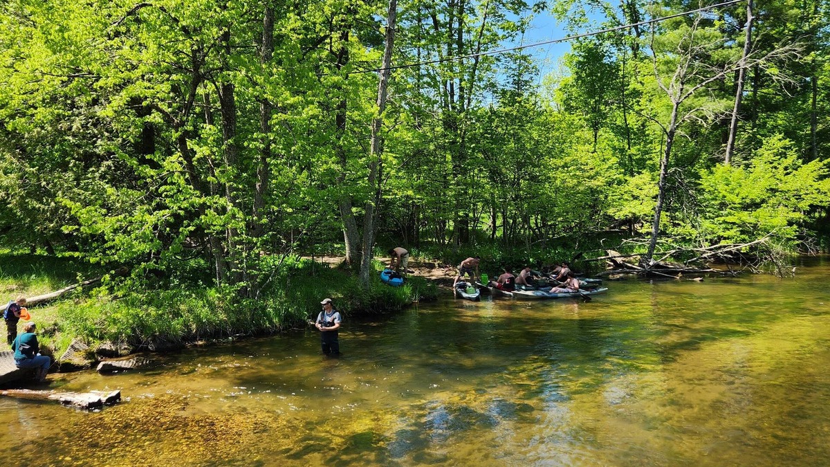 Manistee Cabin | Completely remodeled cabin on 18 acres - across from Little Manistee River!
