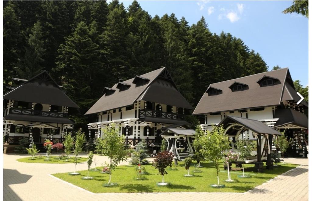 Gura Humorului Resort | Complex Lions Bucovina