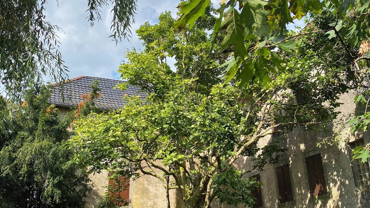 Les Aynans House | Comtoise family house