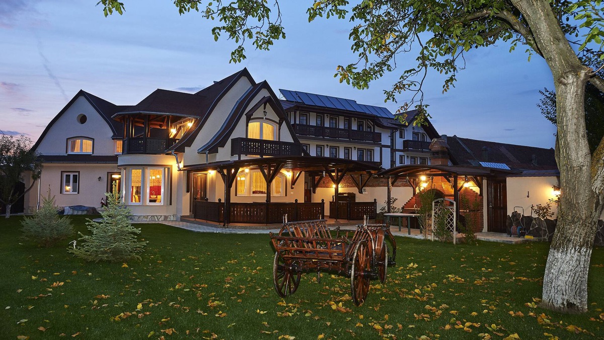 Vladeni Hotel | Conacul Ambient