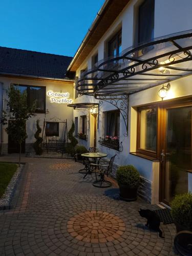 Gura Raului House | Conacul Poetilor