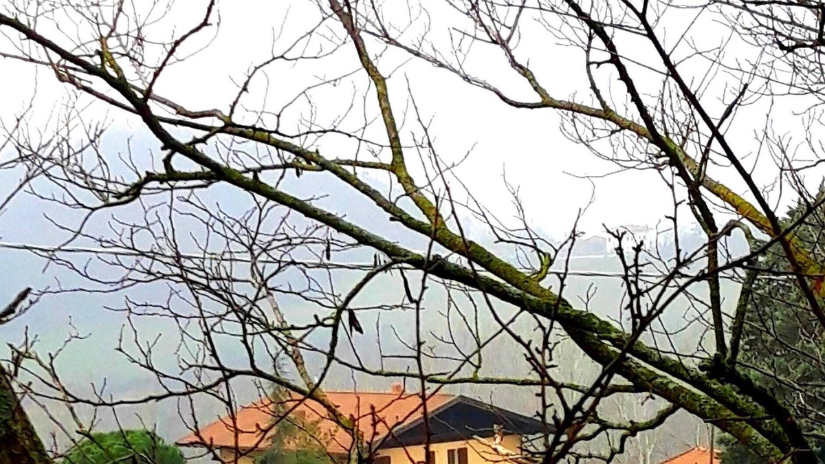 Borghi House | ConcaverdeClub