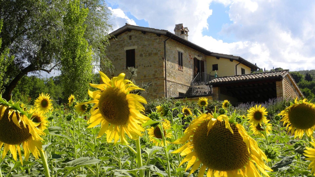 Guzman Apartment | Confortable, nice, apartment, gorgeous view over Umbrian green hills & Assisi