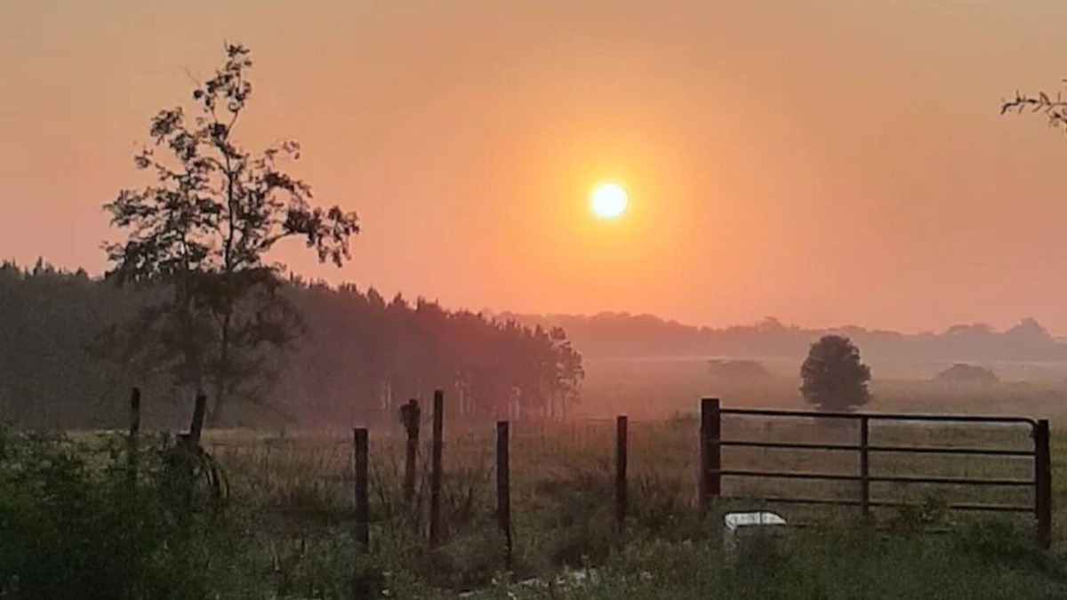 Chiefland House | Connect with Nature at this Peaceful home near by multiple springs and trails .
