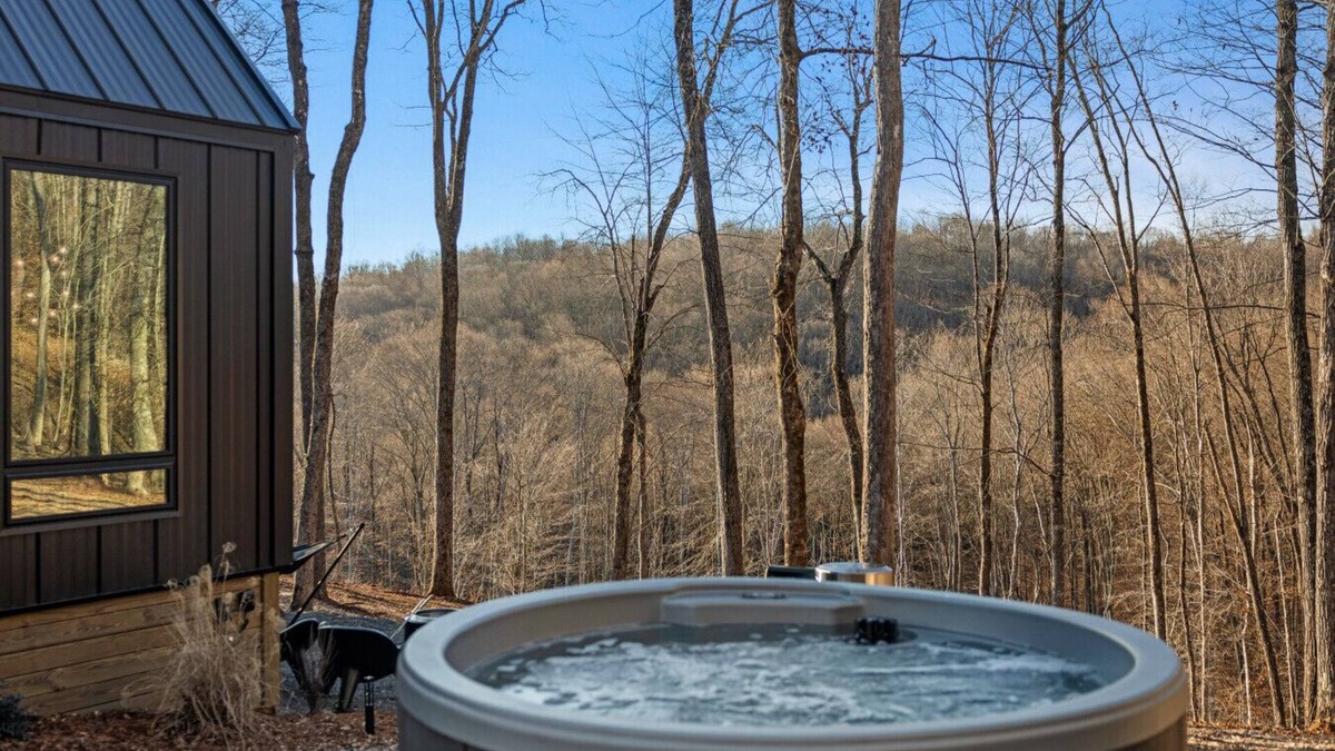 Almont Cabin | Constellation Virgo Suite