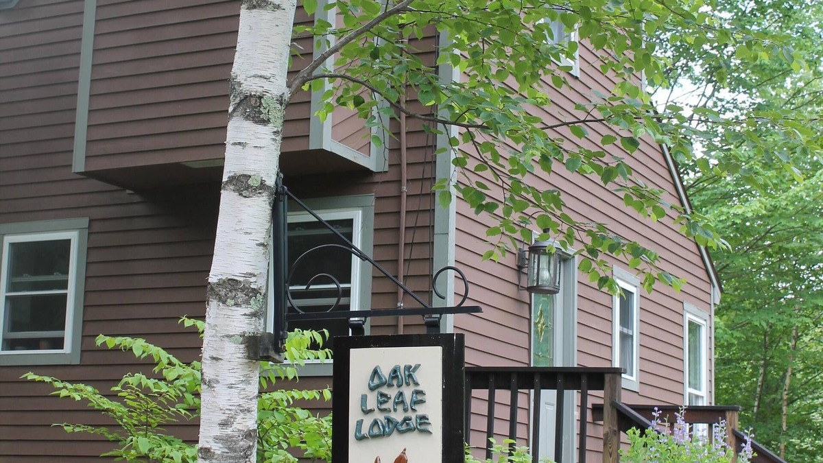 Pittsfield Cabin | Contemporary Family Lodge, 1/2 mile to Lake!