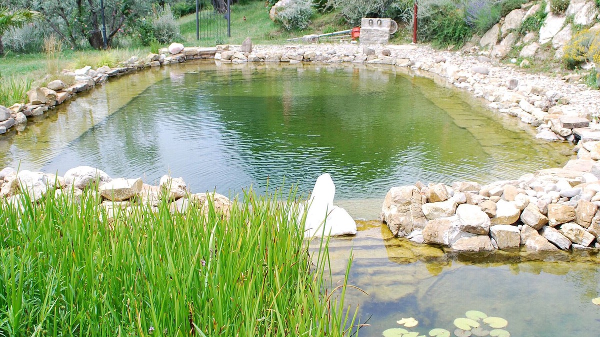 Pontassieve House | Convert your vacation into a highly regenerating life experience.
