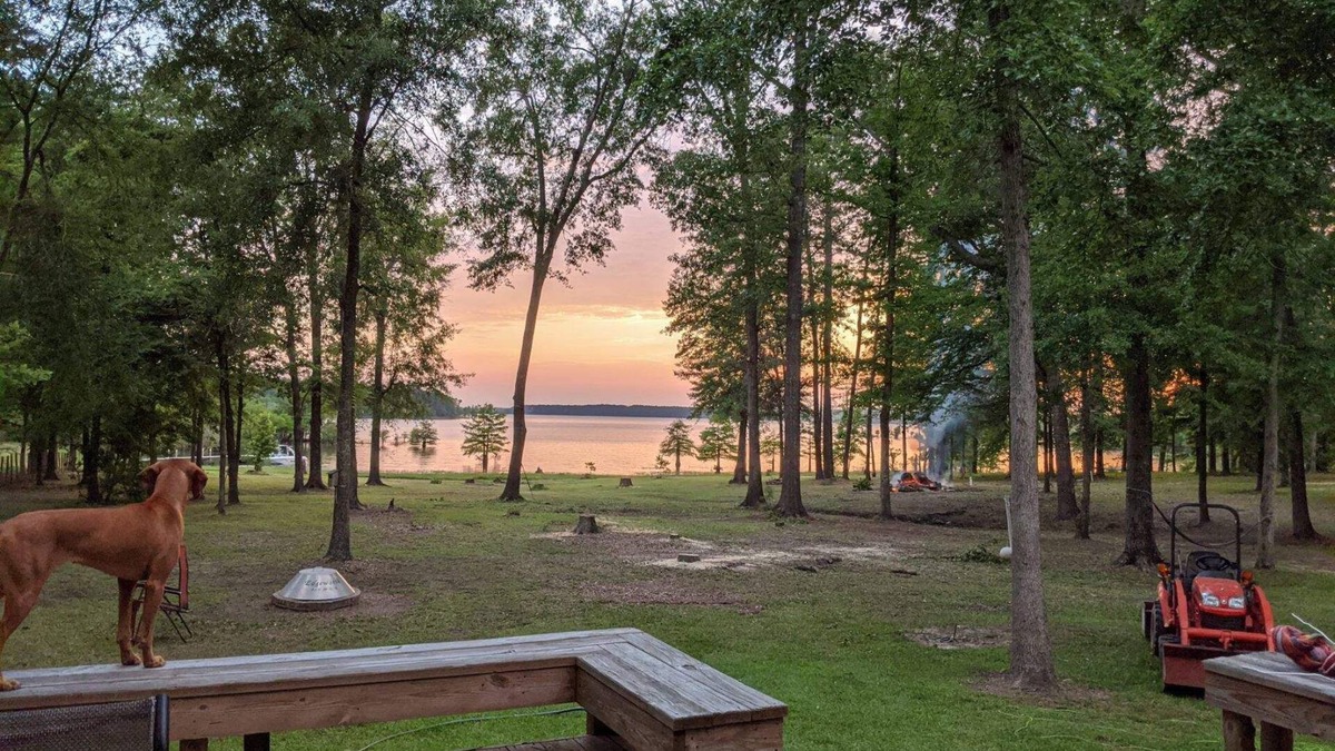 Brookeland House | Cool Breez Waterfront Getaway!