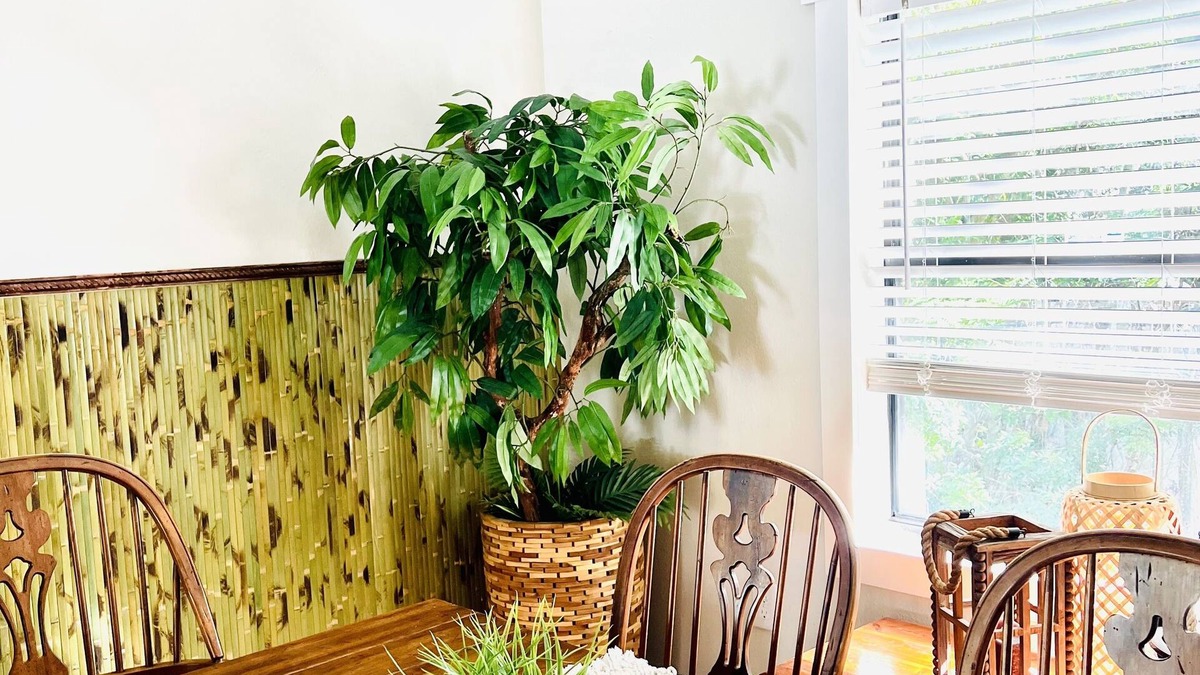 Bayou Oaks House | Cool cottage in a Private Oasis. Boat Parking. Nature and seclusion.