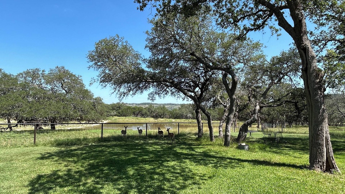 Blanco Cottage | Cool cottage on 30 acres between Blanco and Luckenbach