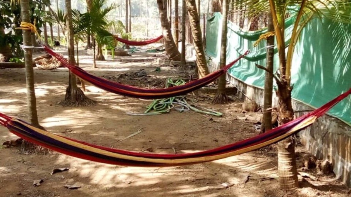 Nagaon Cottage | COOL & PLEASENT STAY IN NATUTRE @ DAKWE COTTAGE WITH DELICIOUS FOOD , NEAR BEACH