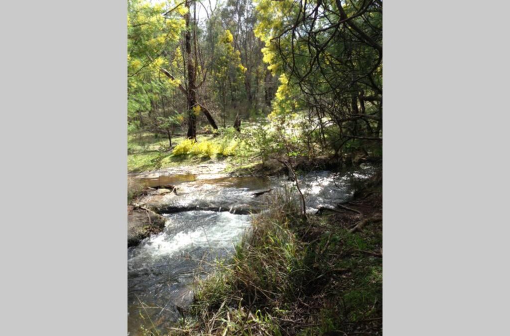 Serpentine-Jarrahdale House | Coolbardie House
