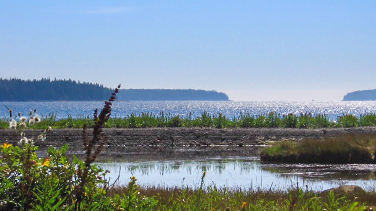 Chester Cottage | Cooperage Cottage - Peaceful & Family Friendly, Oceanfront