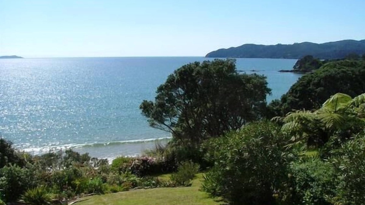 Coopers Beach House | Coopers Beach Retreat- the black bach, beachfront and pet friendly