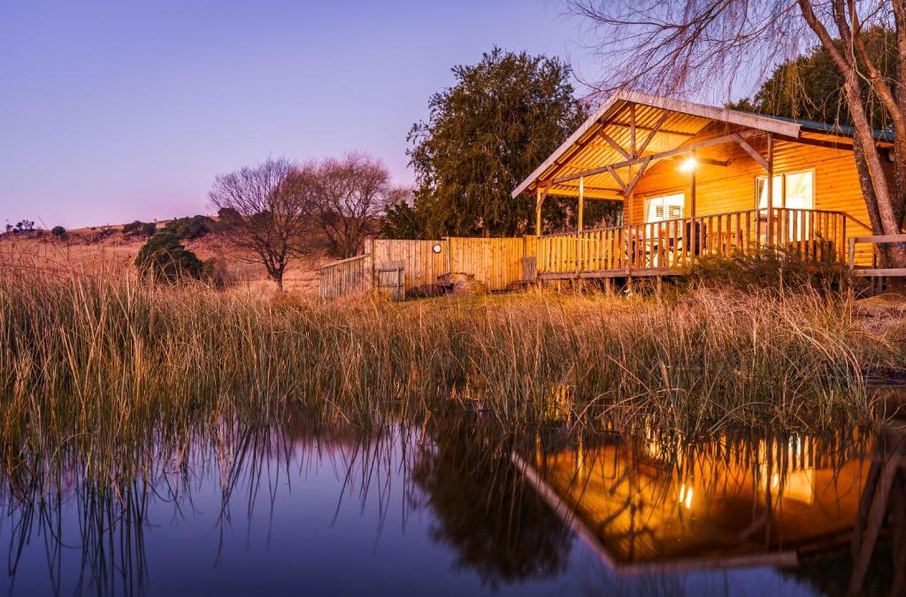 Dargle House | Copperleigh Trout Cottages