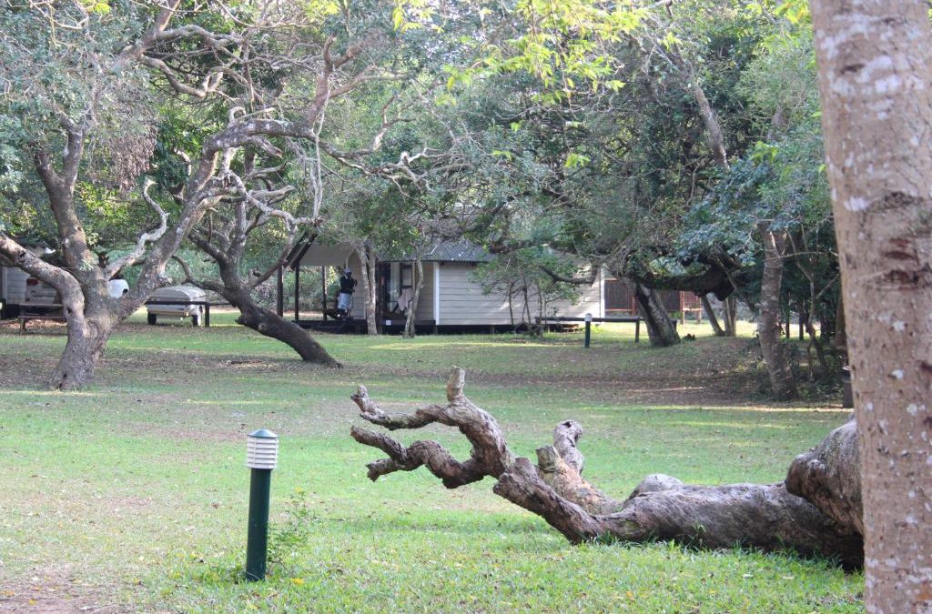 Sodwana Bay National Park Hotel | Coral Divers