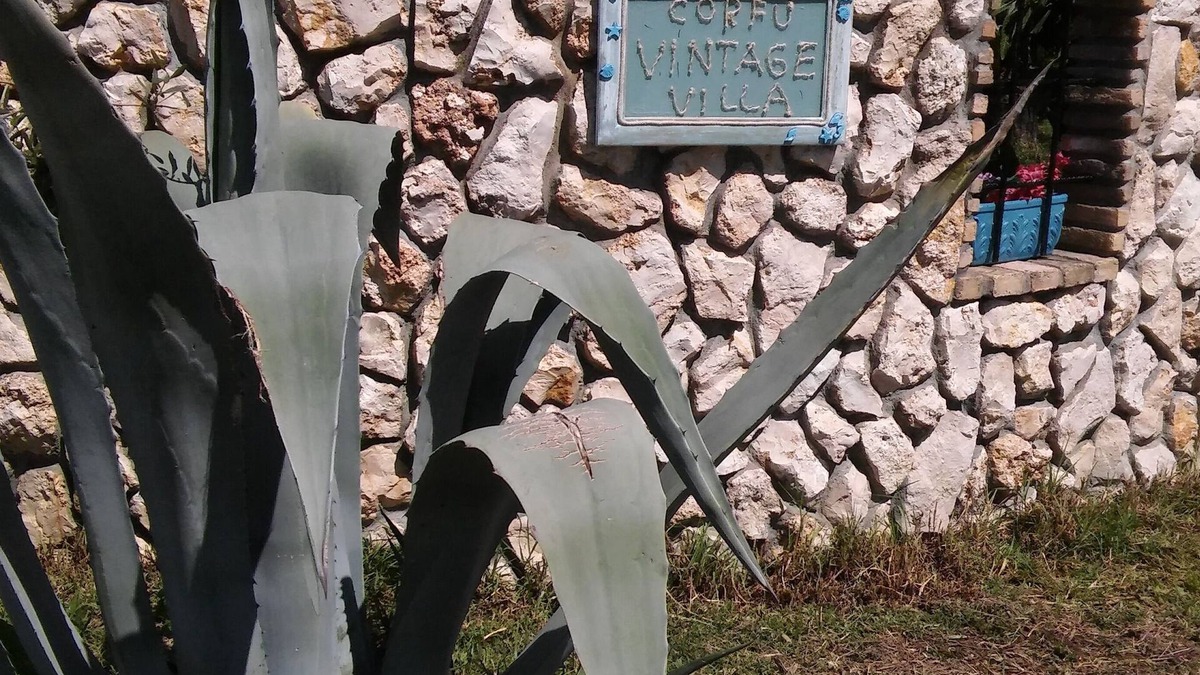 Giannades Villa | Corfu Vintage Villa - A relaxing place for every one