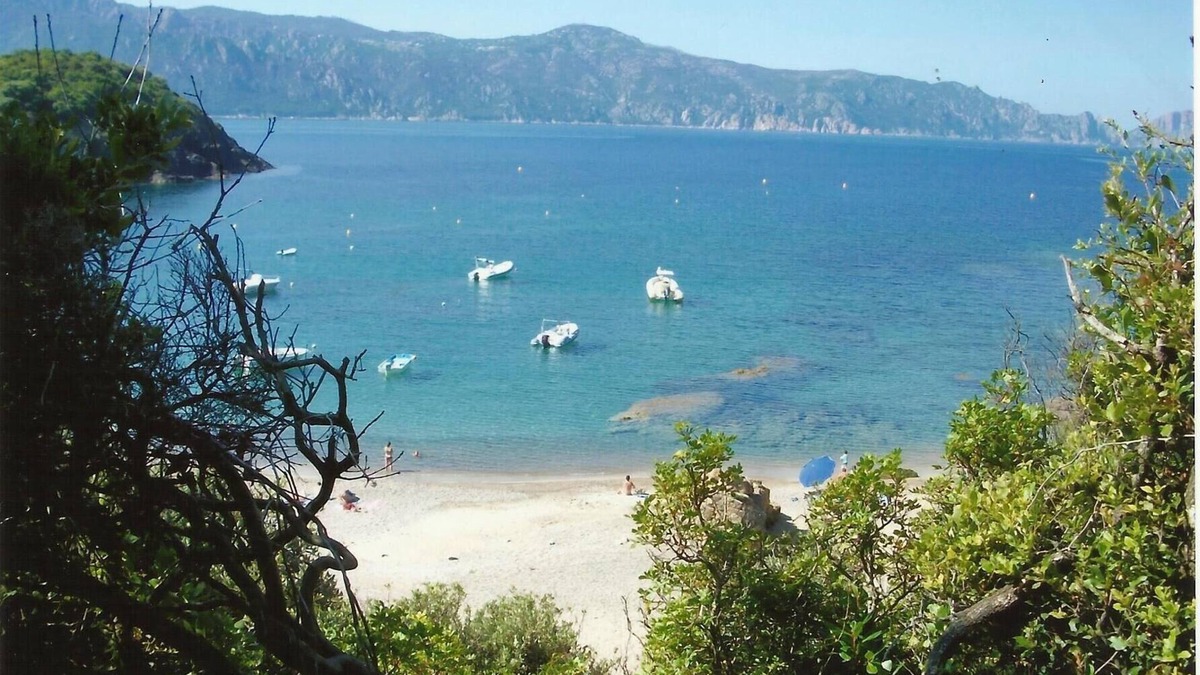 Partinello House | CORSICA, Gulf of Porto, house with terrace and garden, magnificent sea view
