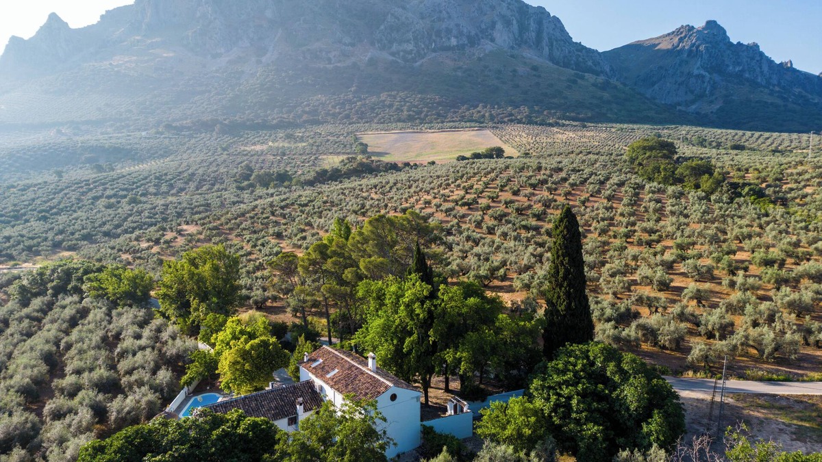 Priego de Cordoba Cottage | Cortijo Abril, the ideal place for large groups, weddings, parties or events.