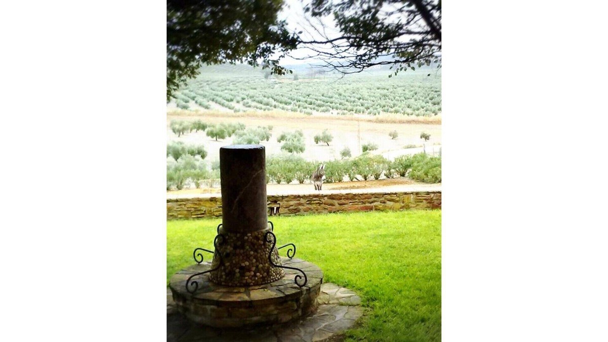 Arjona House | Cortijo Cabañas Rural Apartments. Penthouse