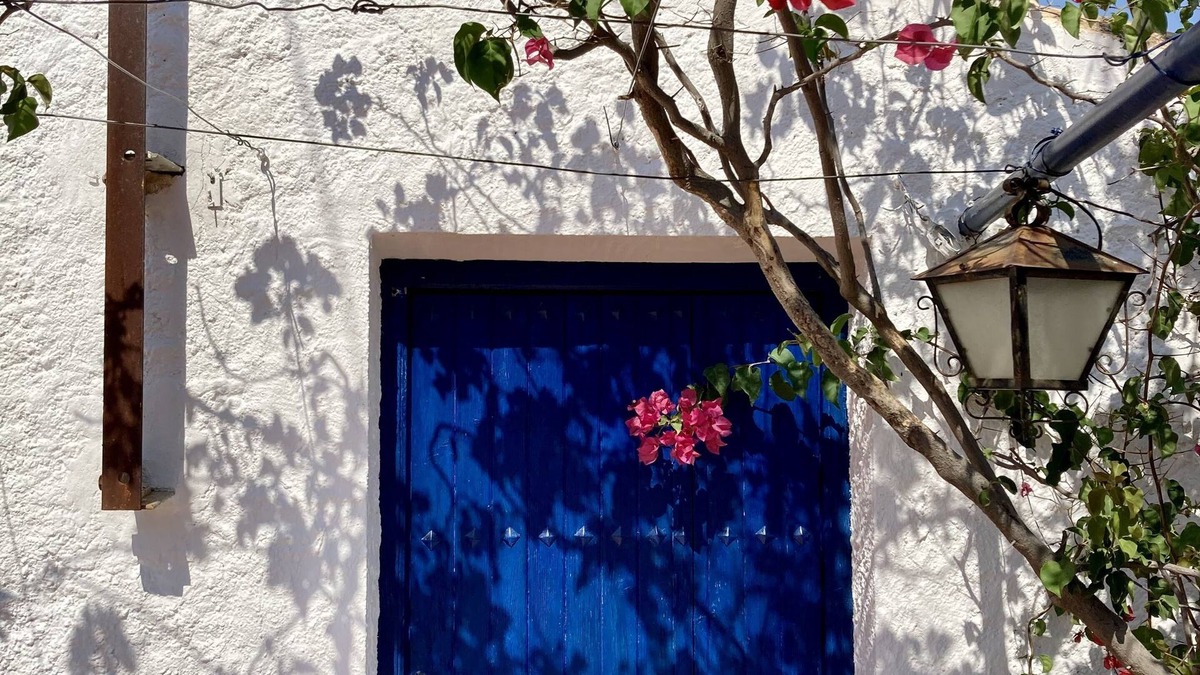 Bedar House | Cortijo de la Fuente: Beautiful andalusian house with stunning views15' to beach