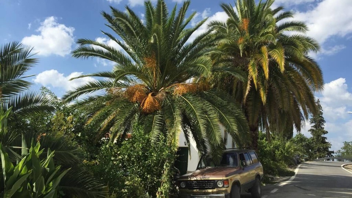 Alcala la Real House | Cortijo located in the middle of Sierra Súbetica with incredible views and landscapes