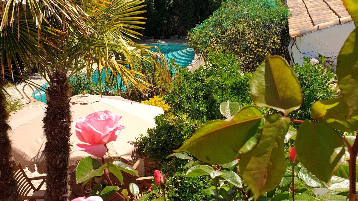 Cullar Apartment | Cortijo Paraiso - Perfect Tropical Paradise (Pet Friendly) sleeps 6